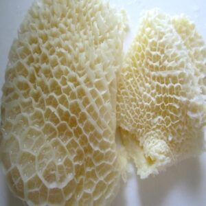 Frozen Cow Stomach