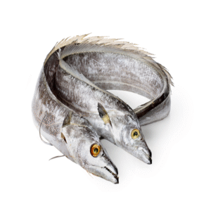 Frozen Ribbon Fish